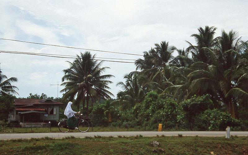 WT 0700 110a-22 e002 Malaysia.jpg